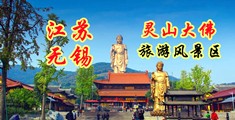 岛国嫩穴网站江苏无锡灵山大佛旅游风景区